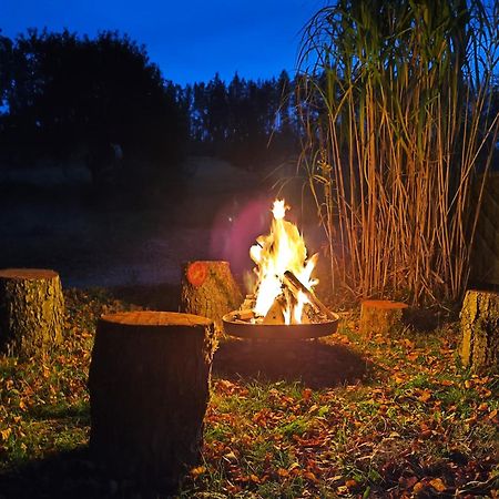 Wald-Apartment Limbach-Oberfrohna ภายนอก รูปภาพ