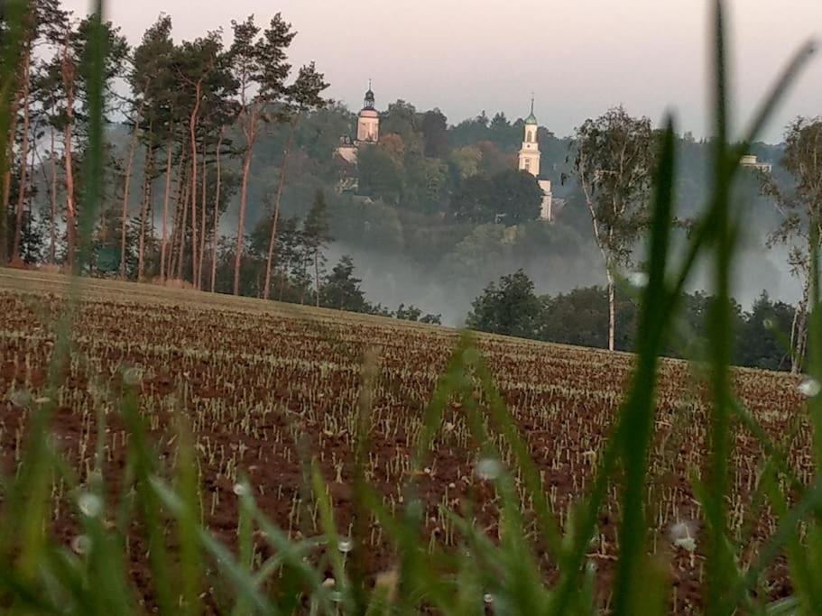 Wald-Apartment Limbach-Oberfrohna ภายนอก รูปภาพ