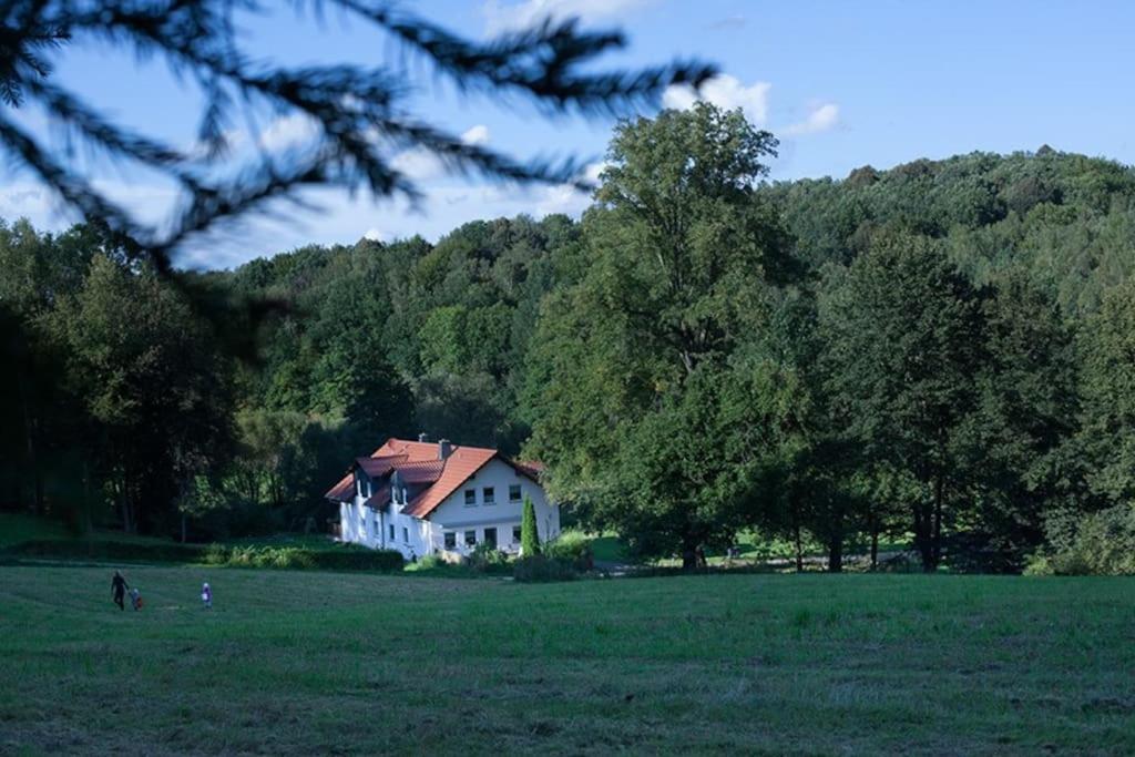 Wald-Apartment Limbach-Oberfrohna ภายนอก รูปภาพ