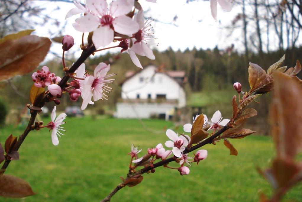 Wald-Apartment Limbach-Oberfrohna ภายนอก รูปภาพ
