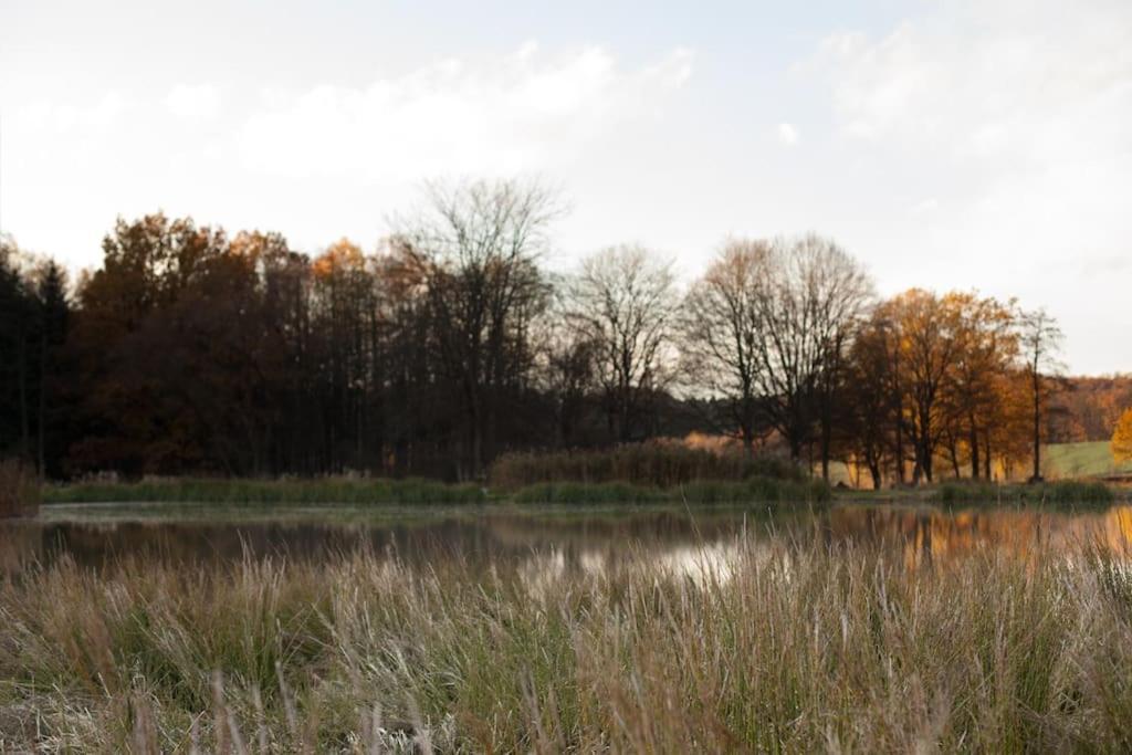 Wald-Apartment Limbach-Oberfrohna ภายนอก รูปภาพ