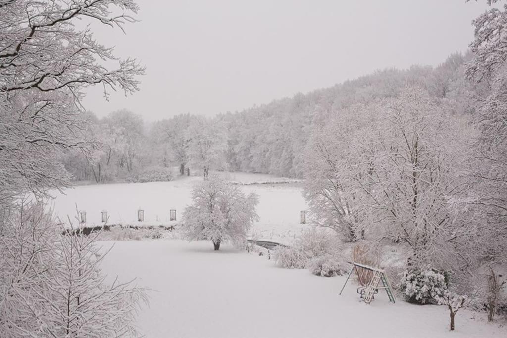 Wald-Apartment Limbach-Oberfrohna ภายนอก รูปภาพ