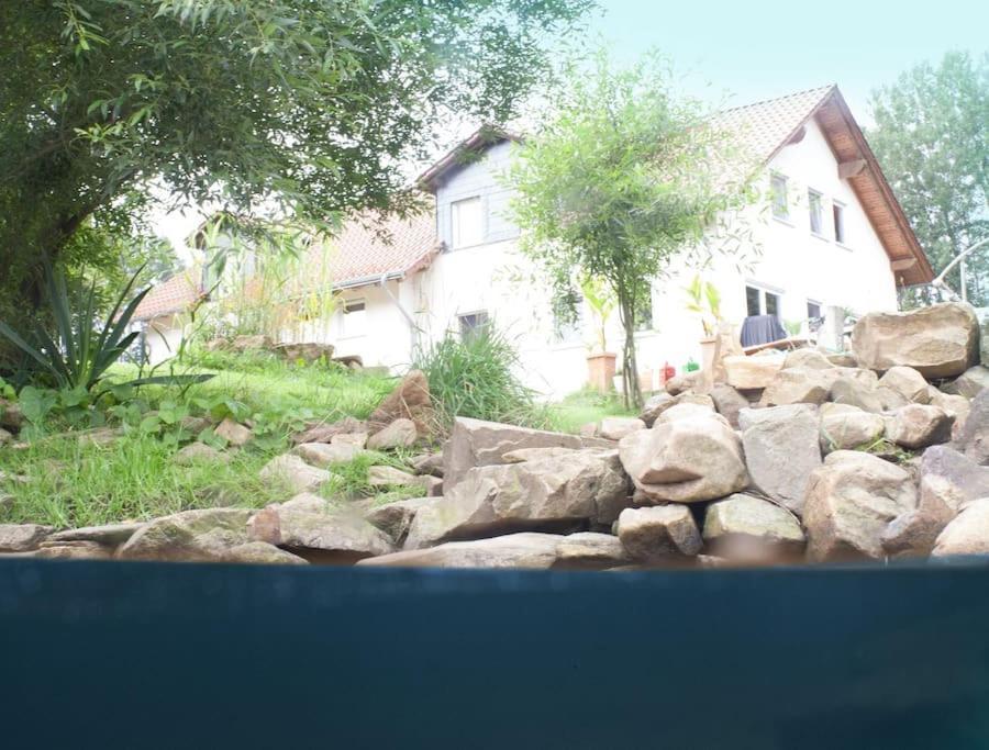 Wald-Apartment Limbach-Oberfrohna ภายนอก รูปภาพ