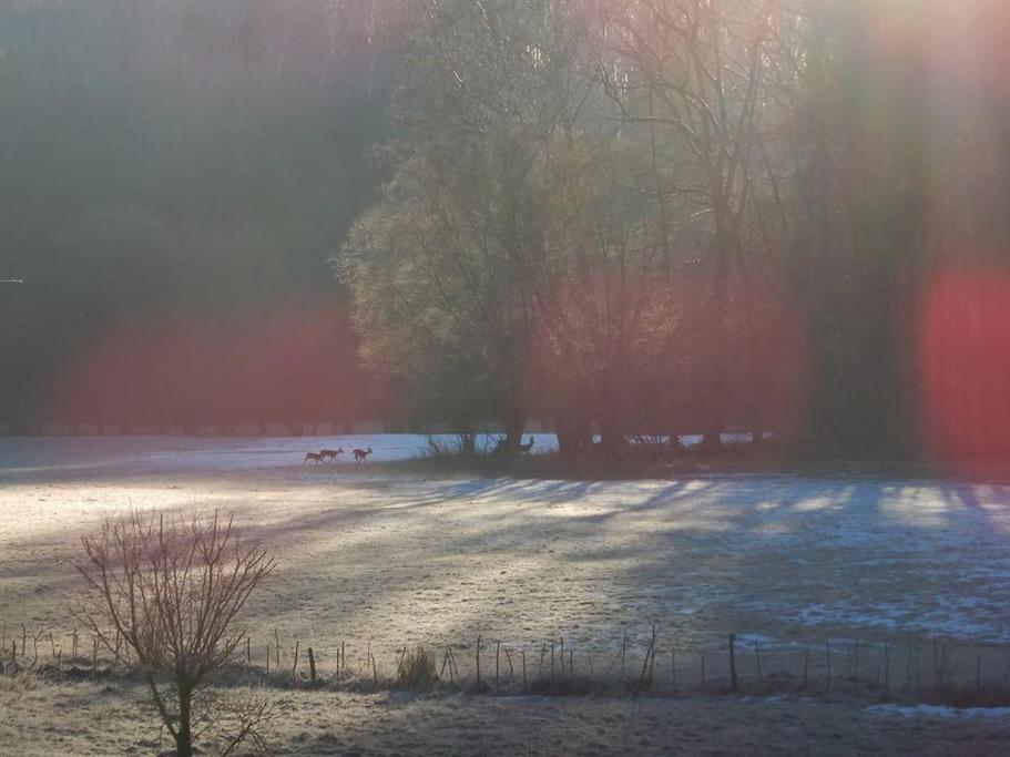 Wald-Apartment Limbach-Oberfrohna ภายนอก รูปภาพ