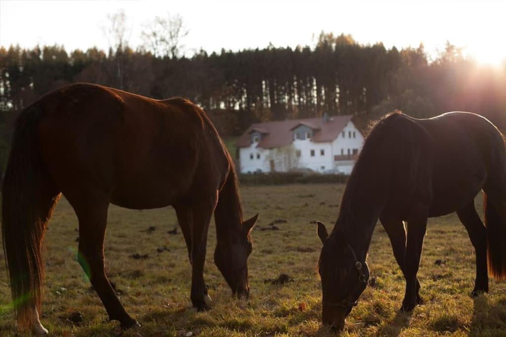 Wald-Apartment Limbach-Oberfrohna ภายนอก รูปภาพ