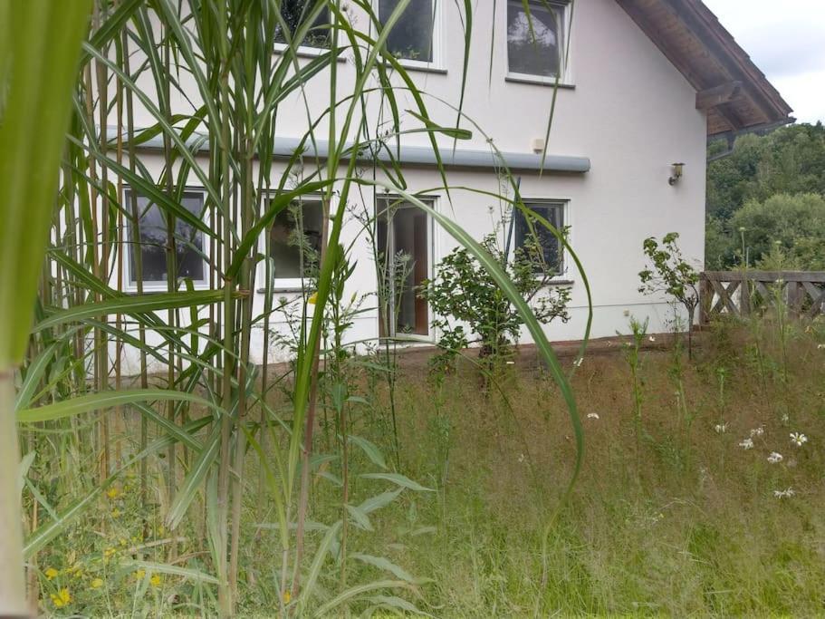 Wald-Apartment Limbach-Oberfrohna ภายนอก รูปภาพ