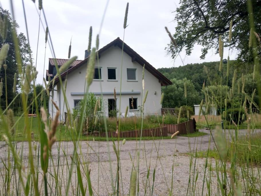 Wald-Apartment Limbach-Oberfrohna ภายนอก รูปภาพ