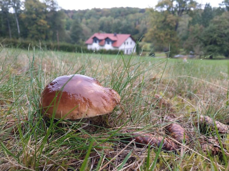 Wald-Apartment Limbach-Oberfrohna ภายนอก รูปภาพ