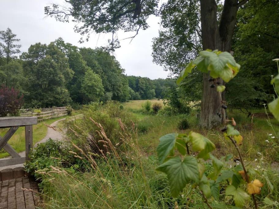 Wald-Apartment Limbach-Oberfrohna ภายนอก รูปภาพ
