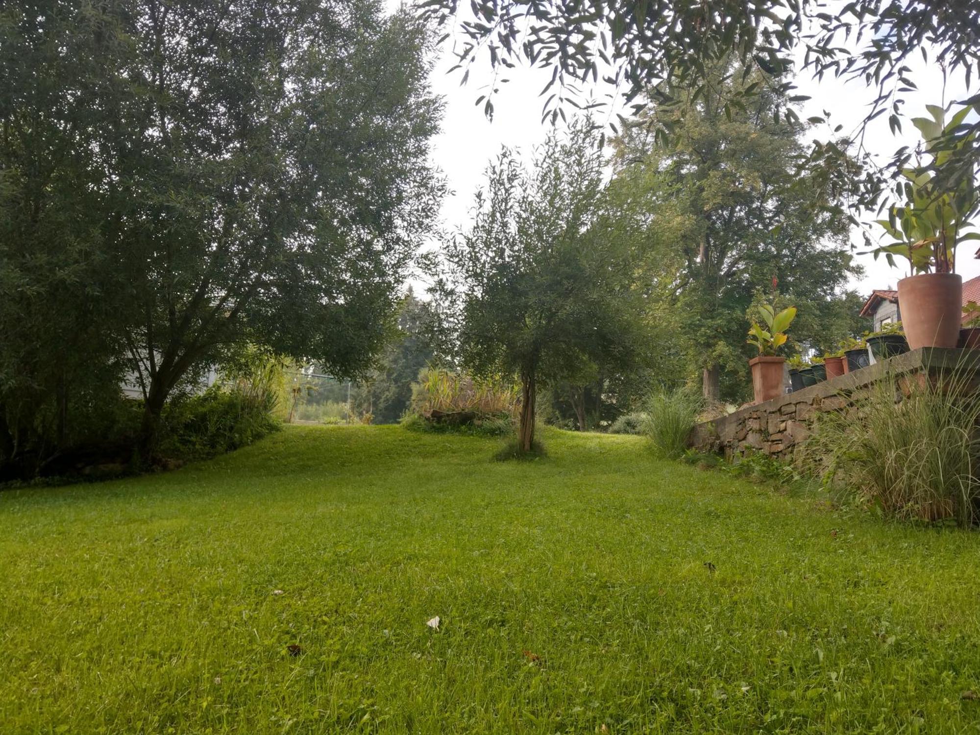 Wald-Apartment Limbach-Oberfrohna ภายนอก รูปภาพ