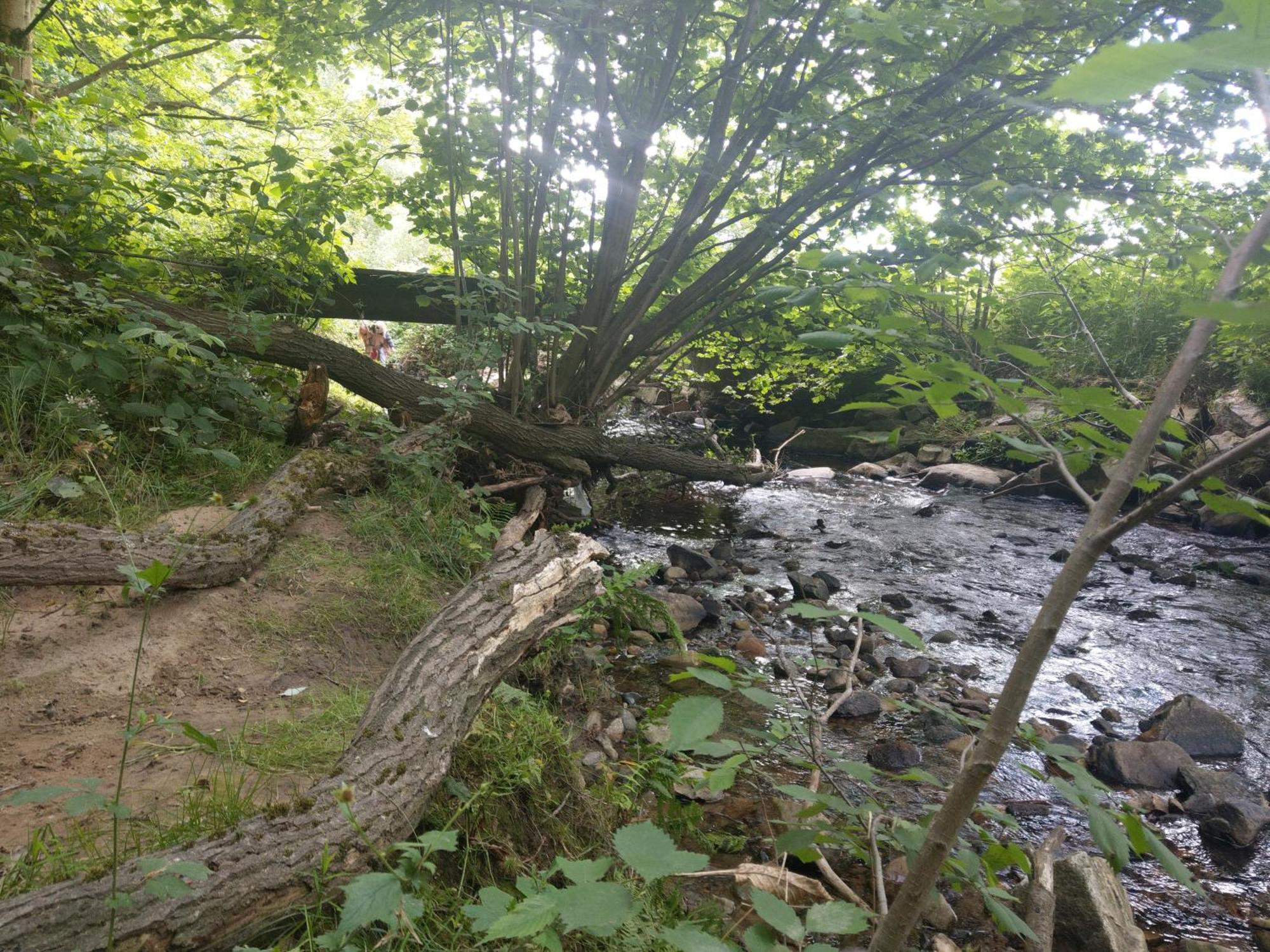 Wald-Apartment Limbach-Oberfrohna ภายนอก รูปภาพ