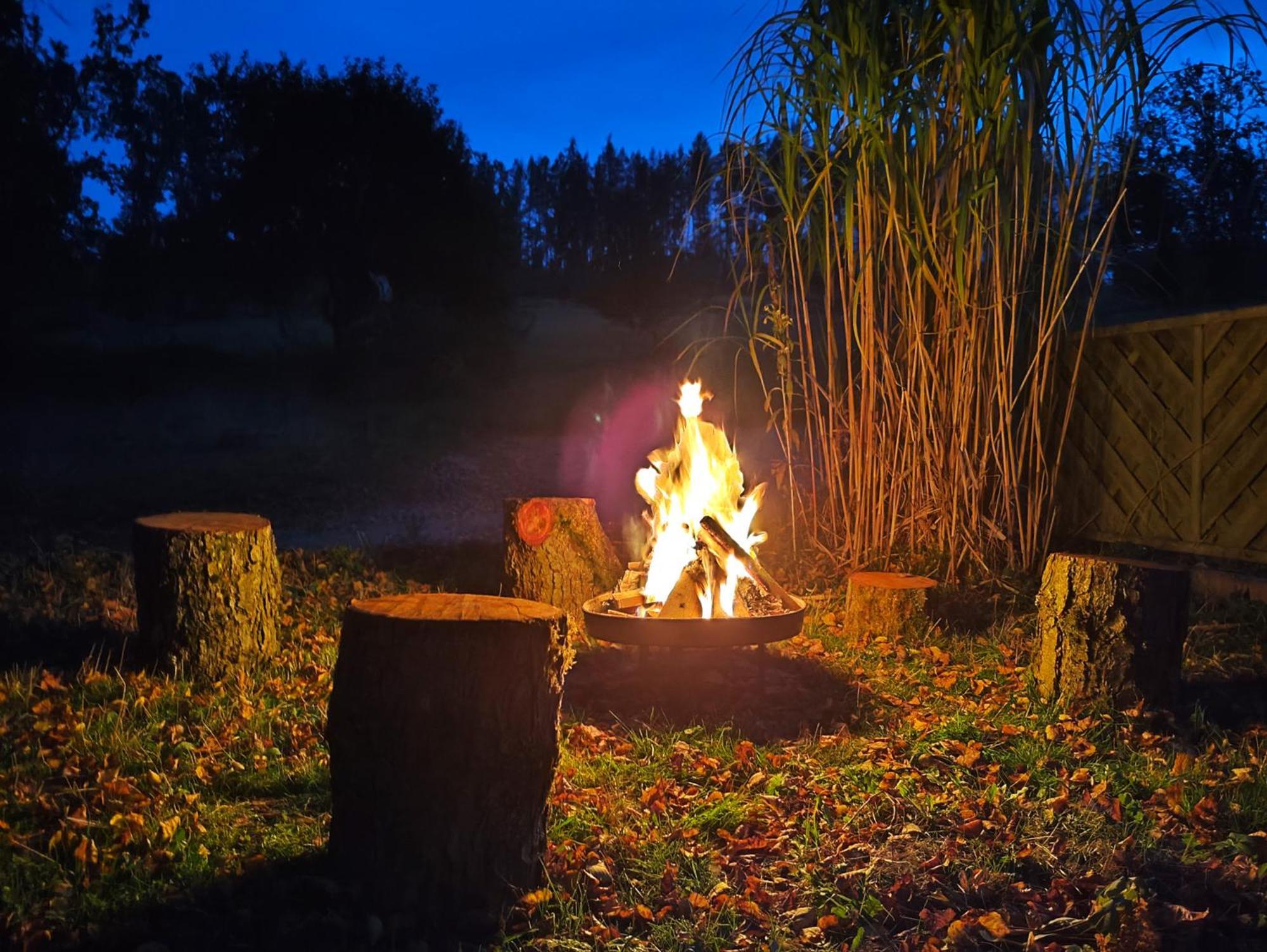 Wald-Apartment Limbach-Oberfrohna ภายนอก รูปภาพ